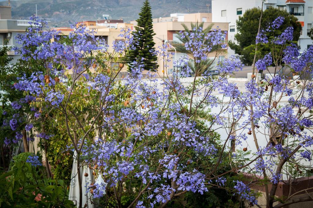 Hostal Restaurante La Curva Адра Екстер'єр фото